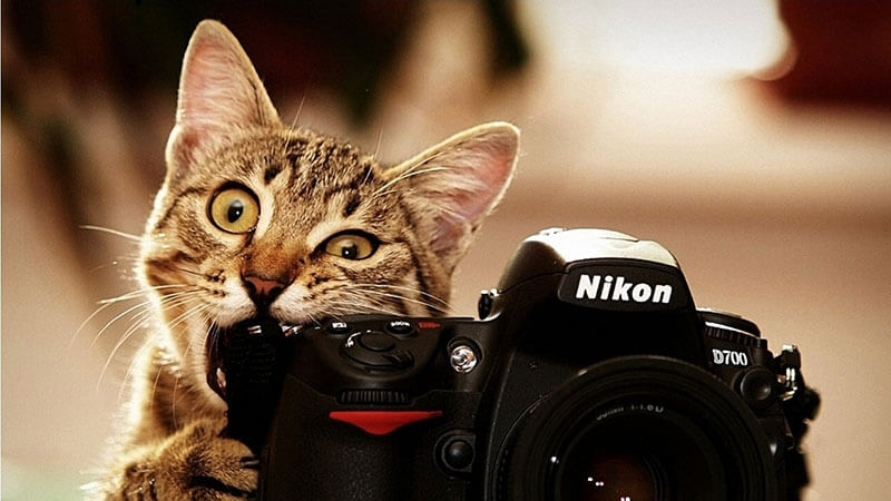 iPad Pro 11 (2018) review